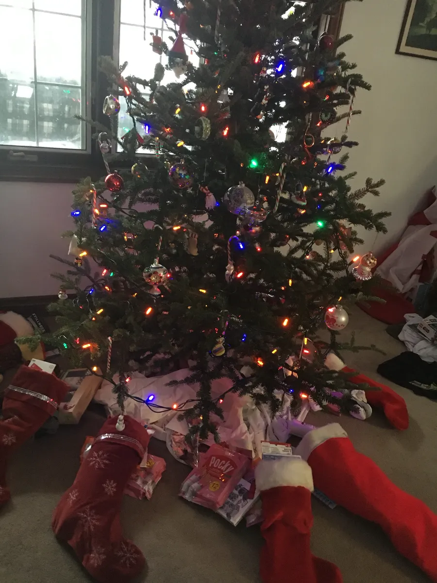 ツリーの下にプレゼントや靴下が並ぶクリスマスツリー