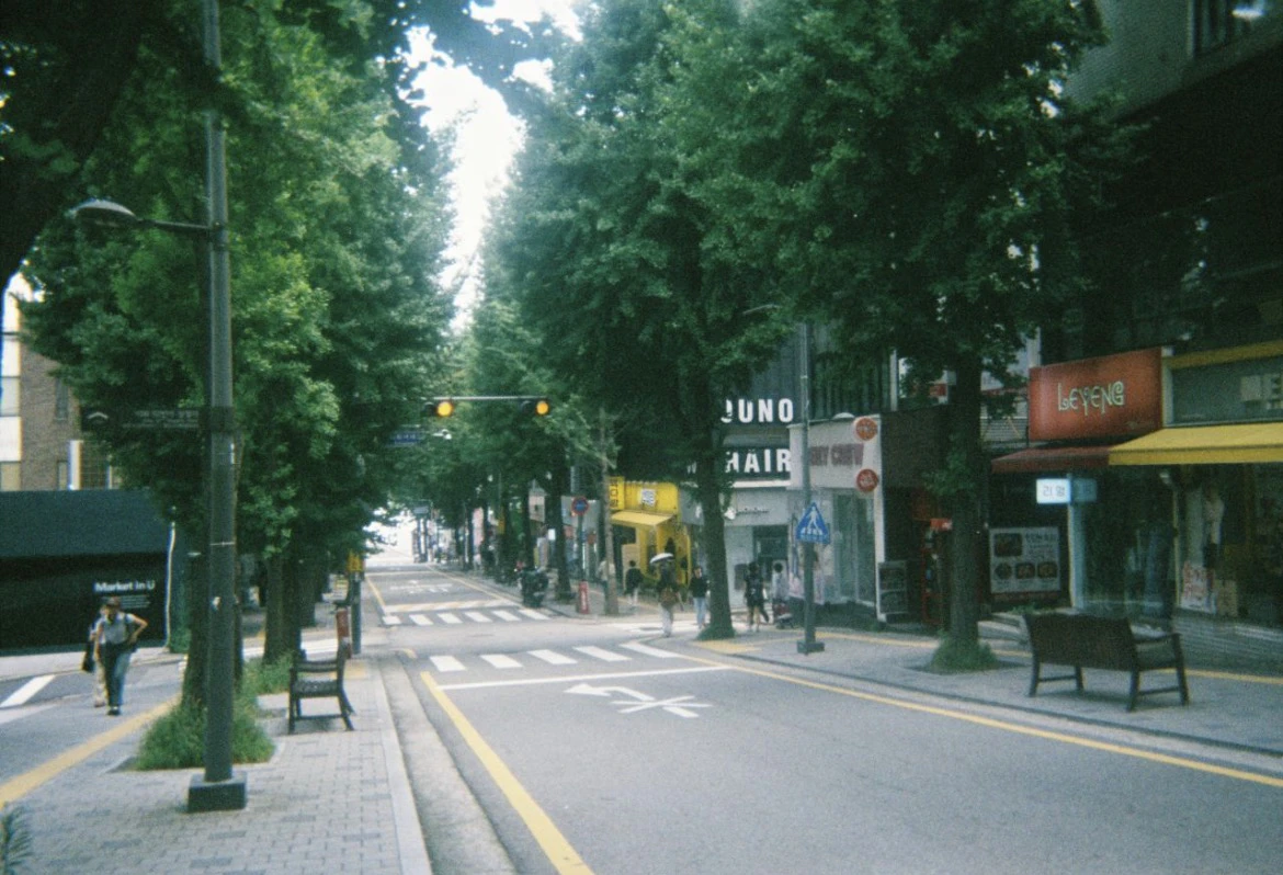 並木道が続くソウルの通学路